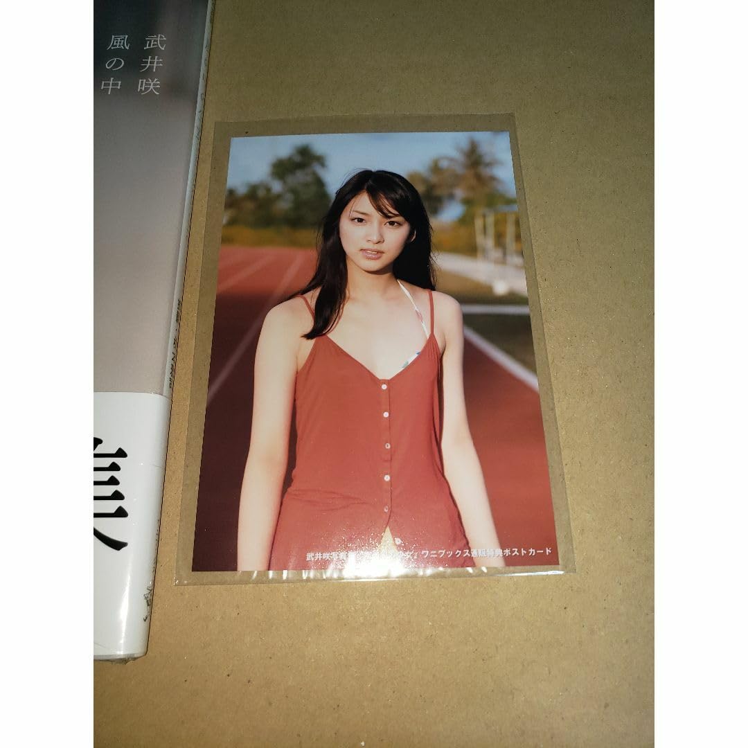 Amazon.co.jp: 武井咲 写真集 風の中の少女 サイン入 : おもちゃ